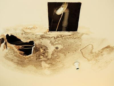 Professional Luxury Estate Water Damage services in Oakville